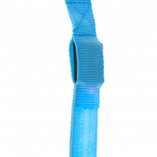 LED luminous dog leash 2.5x120cm blue