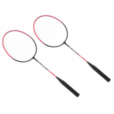 Badminton rackets palettes + case