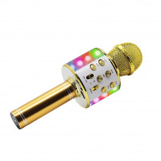 Karaoke mikrofons ar MIC20-GL skaļruni