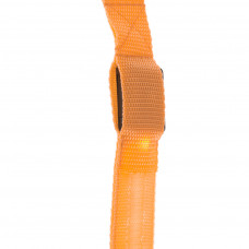 Luminous LED dog leash 2.5x120cm orange