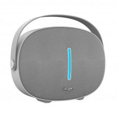 W-King Wireless Bluetooth Speaker W-KING T8 30W (silver)