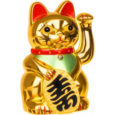 Chinese cat - golden 03064
