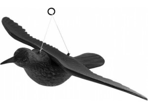 Putnu atbaidītājs - krauklis K6556  (13080-uniw)